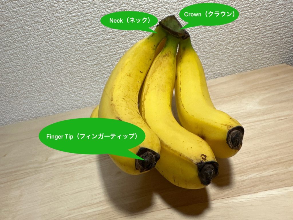 バナナの部位の呼び方